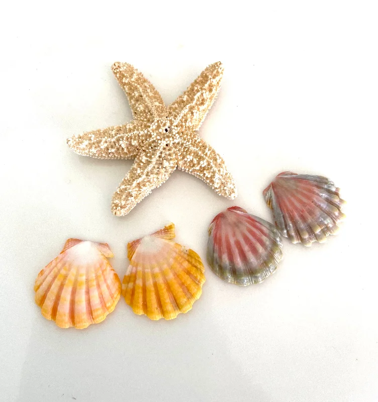 Silver and Gold Earrings-Custom order Sunrise Shell Earrings